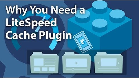 Why You Need a LiteSpeed Cache Plugin
