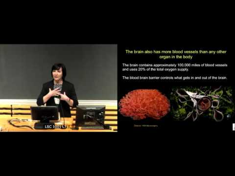 Why Fats Matter Good for the Heart, Good for the Brain - Dr. Cheryl Wellington