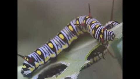 Why is it important for entrepreneurs to work with incubators/accelerators that do not take equity?