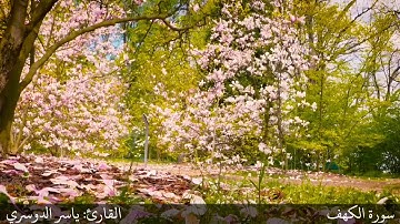 "المال والبنون زينة الحياة الدنيا" تلاوة رائعة للشيخ ياسر الدوسري