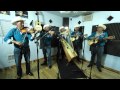 Conjunto De Arpa Grande (La Vida Del Hombre) Los Rayitos De Michoacan