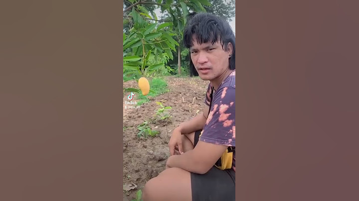 กินมะม่วงแม่ยายคาต้น​ | ถะโหล่โถ่ดาก
