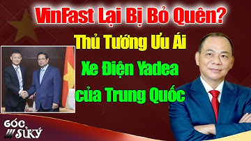 Thủ Tướng Đặc Biệt Ưu Ái Xe Điện Yadea Tại SCO 2025 – VinFast Lại Bị Bỏ Quên?
