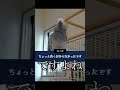 ヨウムとアレクサの飽くなき戦い