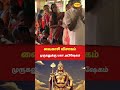 வைகாசி விசாகம் - முருகப்பெருமானுக்கு அபிஷேகம் #murugan #vaigasivisagam #shortsfeed #lordmurugan