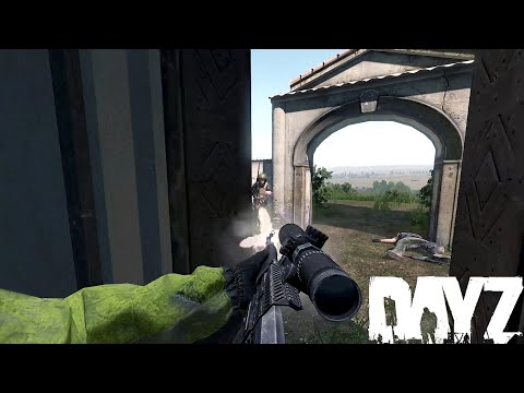 Unique Moments 5 - Dayz