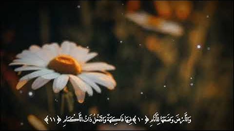 قرأن كريم 🌸🌿 ماتيسر من سورة الرحمن للقارئ عبد الرحمن العوسي 🌸🌿