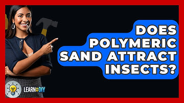Does Polymeric Sand Attract Insects? - LearnToDIY360.com