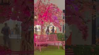 The Ultimate Santo Domingo Shopping Experience!