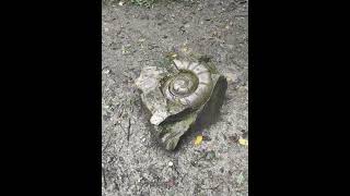 Solomon's Temple - near Buxton, Derbyshire #autism #autistic #daysoutwithanautisticchild