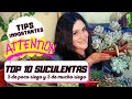 TOP 10 SUCULENTAS: 5 de MUCHO RIEGO y 5 de POCO RIEGO #TOP10SUCULENTASMIXTO