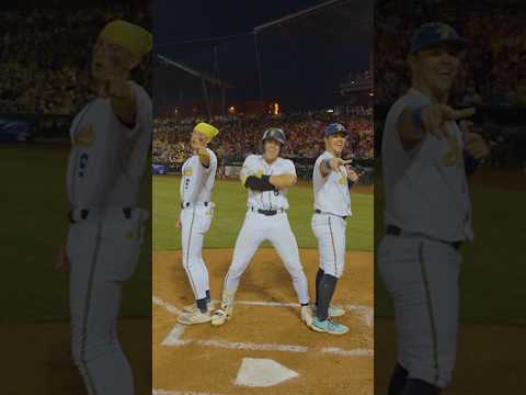 “MMMBop” Hanson Walk-Up | Savannah Bananas #90smusic#music#baseball#bananaball#90s#90spop