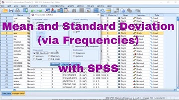 SPSS - Mean and Standard Deviation (via Frequencies)