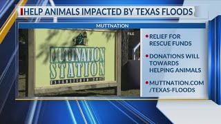 Here's how to help flood survivors in Central Texas