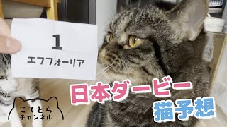 恒例化決定！？猫に予想してもらったらセンスのある三連複５頭ボックスにしてくれた！結果はいかに… by こてとら兄弟 479 views 2 years ago 8 minutes, 19 seconds