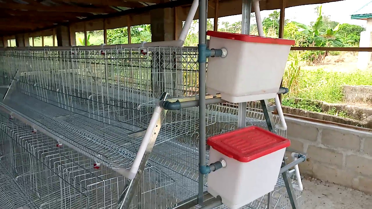 Layers Cages / Imported Poultry Cages for Birds