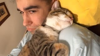 My soul is purified by the love of my cat   Cute moments cat and human