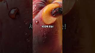 신비복숭아의 신비로운 효능🍑