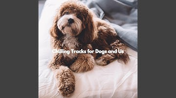 Spacious Ambience for Chilled Shadows