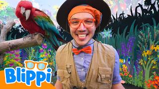 blippi s amazing animal adventure san diego zoo colorful