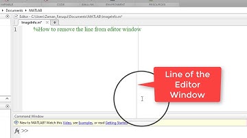 How to Remove the Line of Matlab Editor Window?
