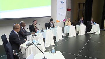 Global and regional coordination and monitoring mechanisms