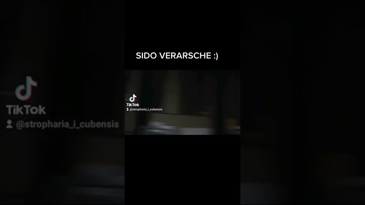 Sido feat. Bozza Sterne Cover Remix 