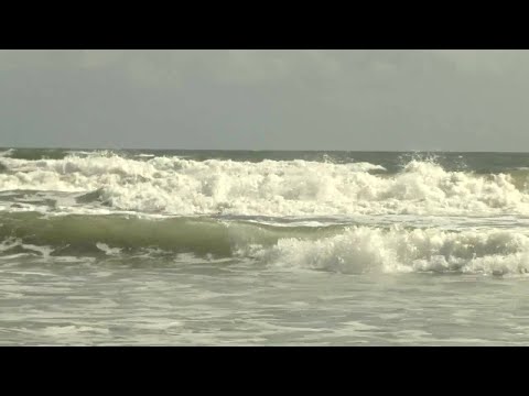 Jax Beach Tide Chart