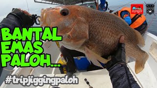 Jigging Paloh Port Klang | TROFI Bantal Emas Paloh | MFV#19