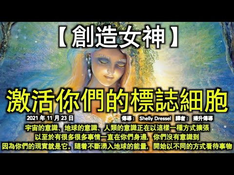 激活你們的標誌細胞【創造女神】宇宙的意識、地球的意識、人類的意識正在以這樣一種方式擴張，以至於有很多很多事情一直在你們身邊，你們沒有意識到，因為你們的現實就是它