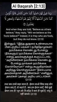 2.Al Baqarah( The Cow )_ 13 Aya / 286 #quran #quranrecitation #qurantranslation #islamicknowledge