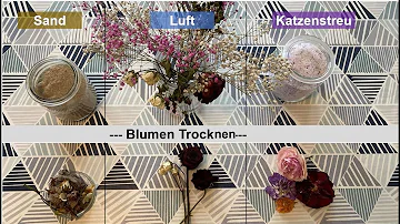 Wie trocknet man am besten Rosenblätter?