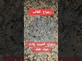 اكسبلور المبيدات الالهام دويتو نفيسه الخطير ترند النظافه العثمانيه لايك الجزائر فرنسا