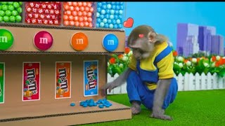 KiKi Monkey challenges with Sweet M\&M Candy Dispenser and Watermelon Ice Cream | KUDO ANIMAL KIKI