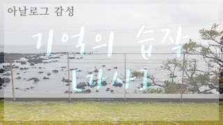 기억의 습작_전람회 [김동률] l 건축학개론 OST l Etude of Memories