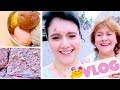 VLOG : ЗОЛОТЫЕ ТАРАКАНЫ | ПОТЕРЯННЫЕ ВЕЩИ | ВЛОГ : 26.07.2018