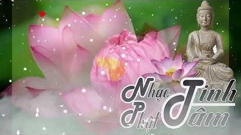 Nhạc Thiền Tịnh Tâm Mới Nhất 2019 - Nghe Để Trút Bỏ Hết Muộn Phiền - An Nhiên Tự Tại Trong Cuộc Sống