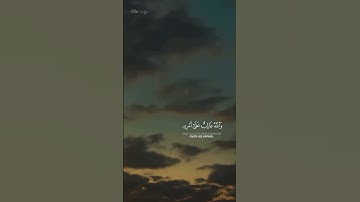 القارئ محمد هشام | سورة يوسف - الآية 21 | #قرآن #قرآن_كريم #اكسبلور #quran #explore