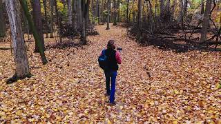 DJI Mini 4 Pro. Fall Colors Over Michigan Skys #mini4pro #djimini4pro #drones #videography #DJI by Drones over Michigan with Randy Morgan 103 views 6 months ago 4 minutes, 14 seconds