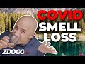 Why Does COVID Cause Loss Of Smell? | A Doctor Explains