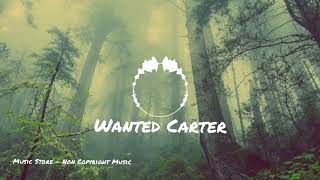 Wanted Carter - Non Copyright Music