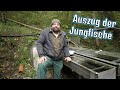 Fischbrut Teil 4 - Die Jungfische ziehen aus