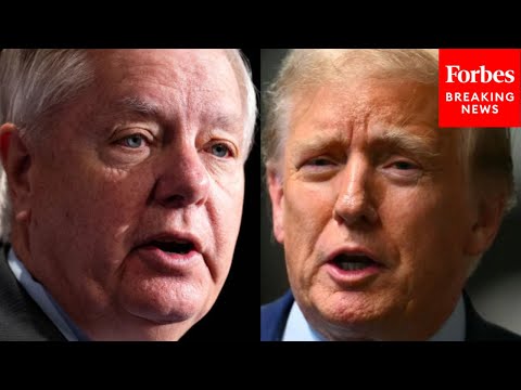 If President Trump Wins...: Lindsey Graham Predicts How Trump Will Respond To Migrant Crisis