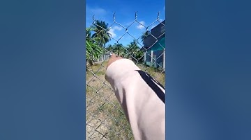 Đất rẻ đầu tư