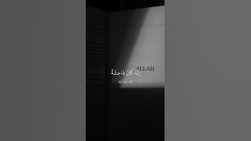 أحمد النفيس || ولا تقربوا الزنا إنه كان فاحشة وساء سبيلا || سورة الإسراء #احمد_النفيس