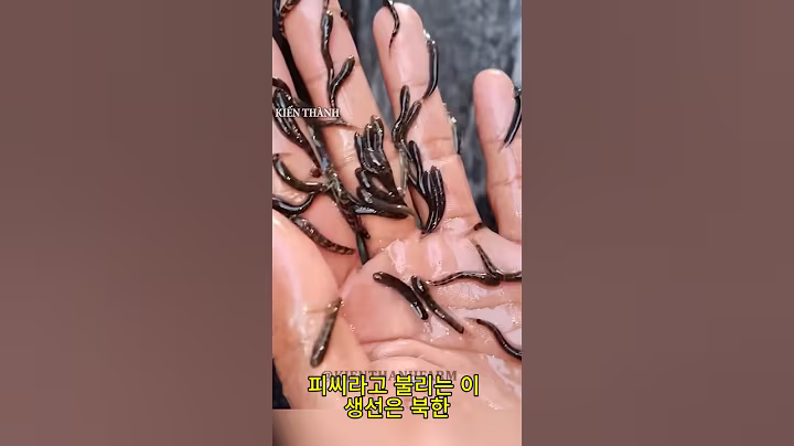 북한에서 '어왕의 왕'이라 불리는 물고기