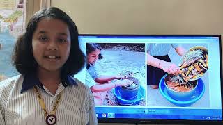 Making Compost at Home , Science Project 