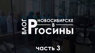 ВЛОГ. Proсины в Новосибирске. Производство Siberian Wellness . ЧАСТЬ 3