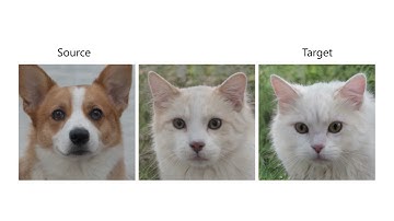 StyleAlign: Analysis and Applications of Aligned StyleGAN Models