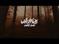 Jeremy Zucker Wildfire Wvntd Remix